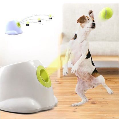 White dog tennis ball launcher with lime opening and tennis balls next to a dog