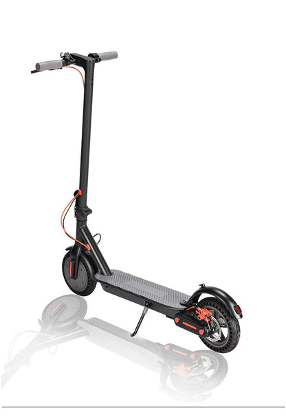 8.5 Inches 350W Electric Scooter Convenient Environmentally Folding E-Scooter - Renee Lane Company