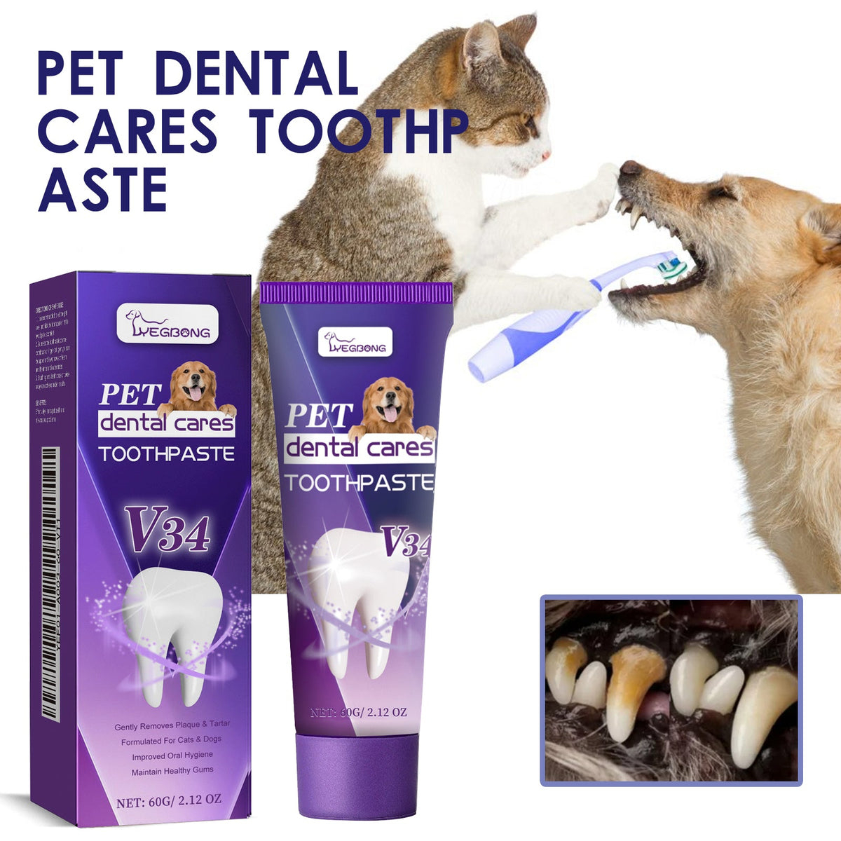Pet V34 Toothpaste 60g  1box