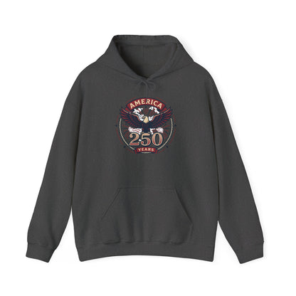 Charcoal pullover hoodie with eagle and “250 Years” graphic on chest