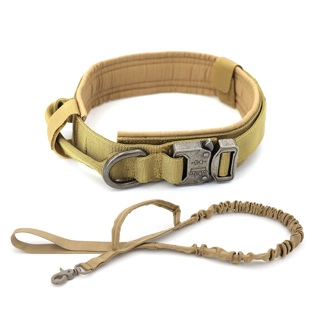 Light green fabric dog collar with metal buckle and matching leash strap