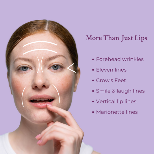 Ageless Lip & Line Filler - Renee Lane Company