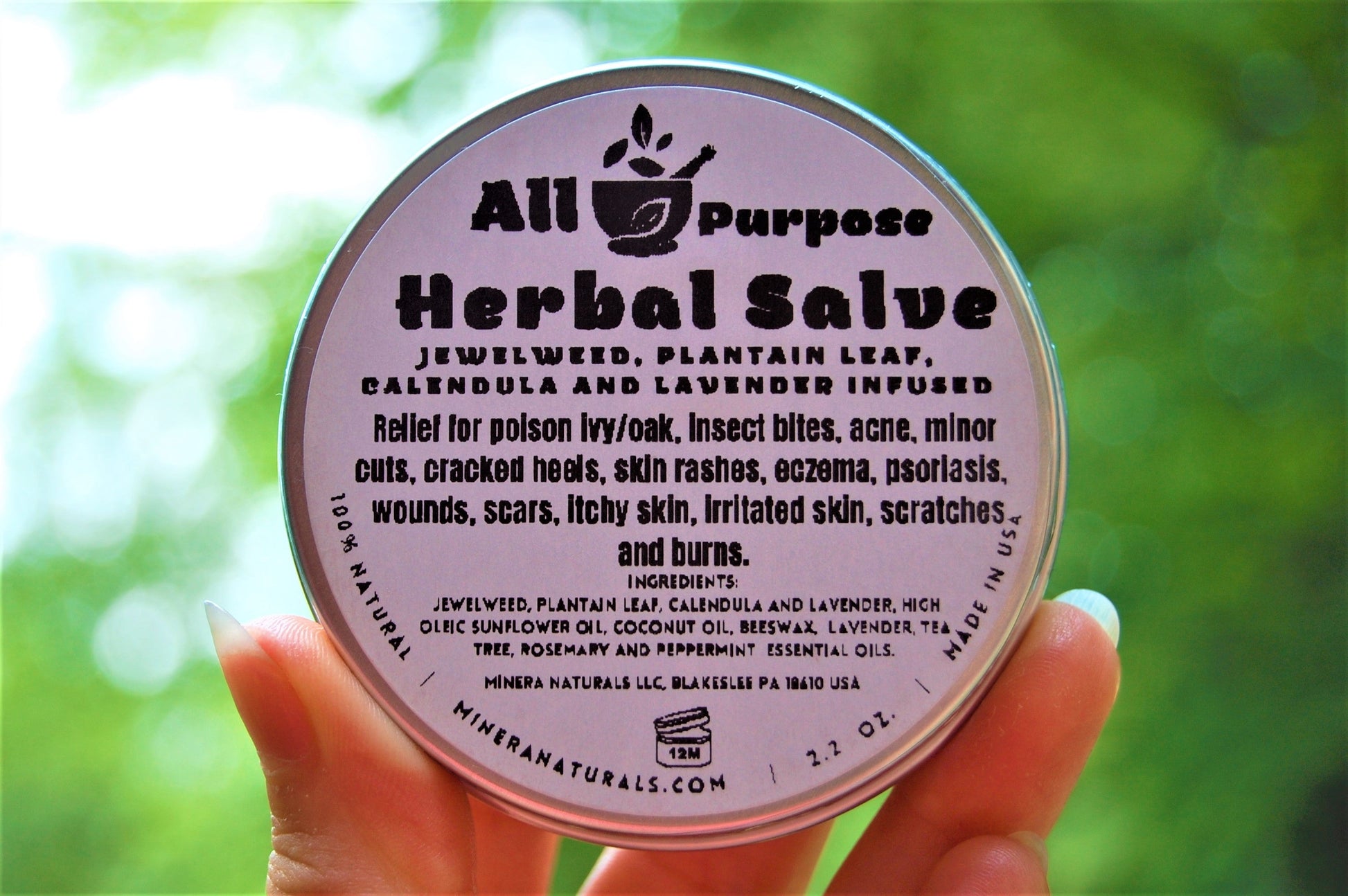 All Purpose Salve - Herbal infusion for poison Ivy, Bug Bites & other skin conditions - Renee Lane Company