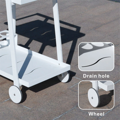 Aluminum White Indoor/Outdoor Patio Serving Dual-layer Cart with Teak Handle - Renee Lane Company