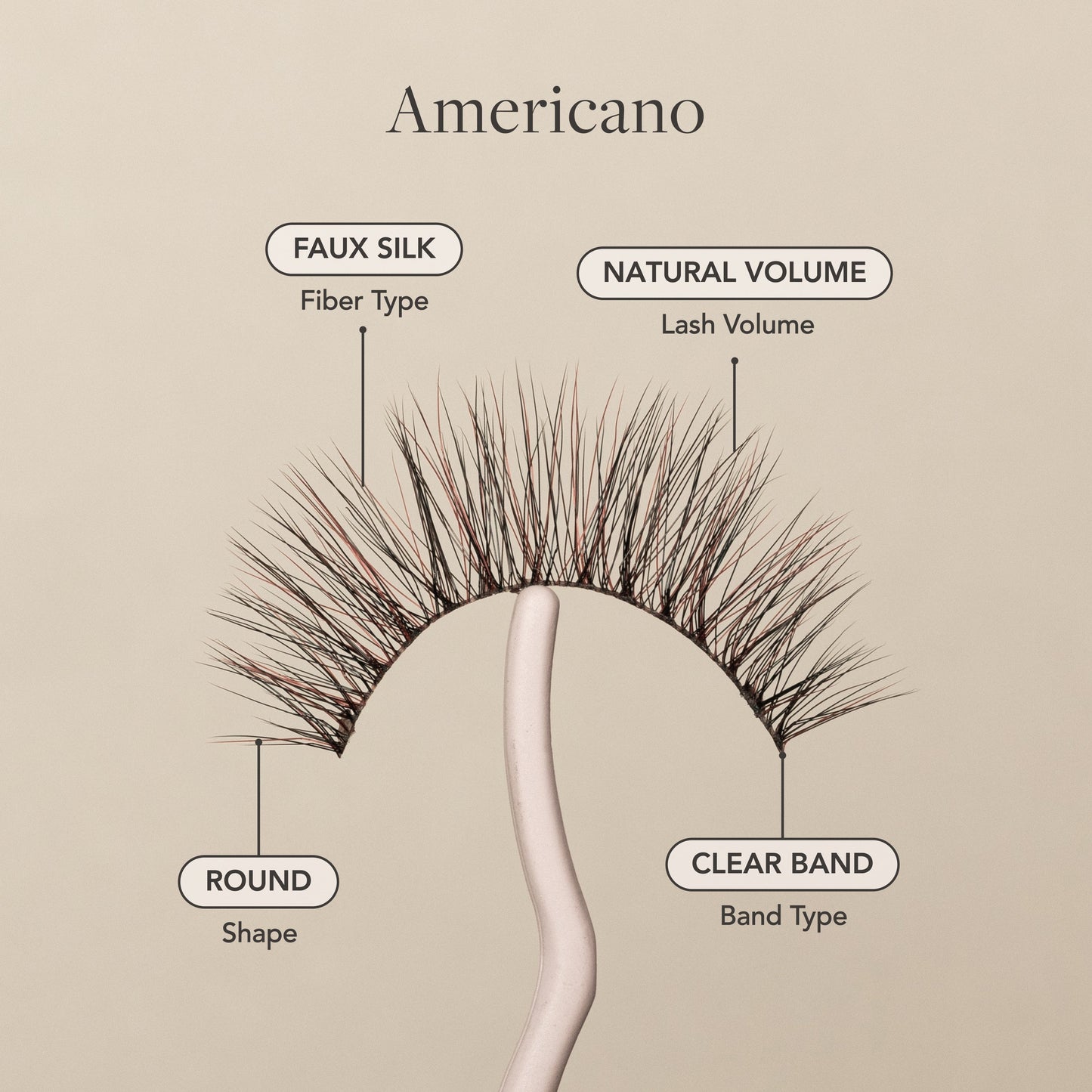 Americano - Renee Lane Company