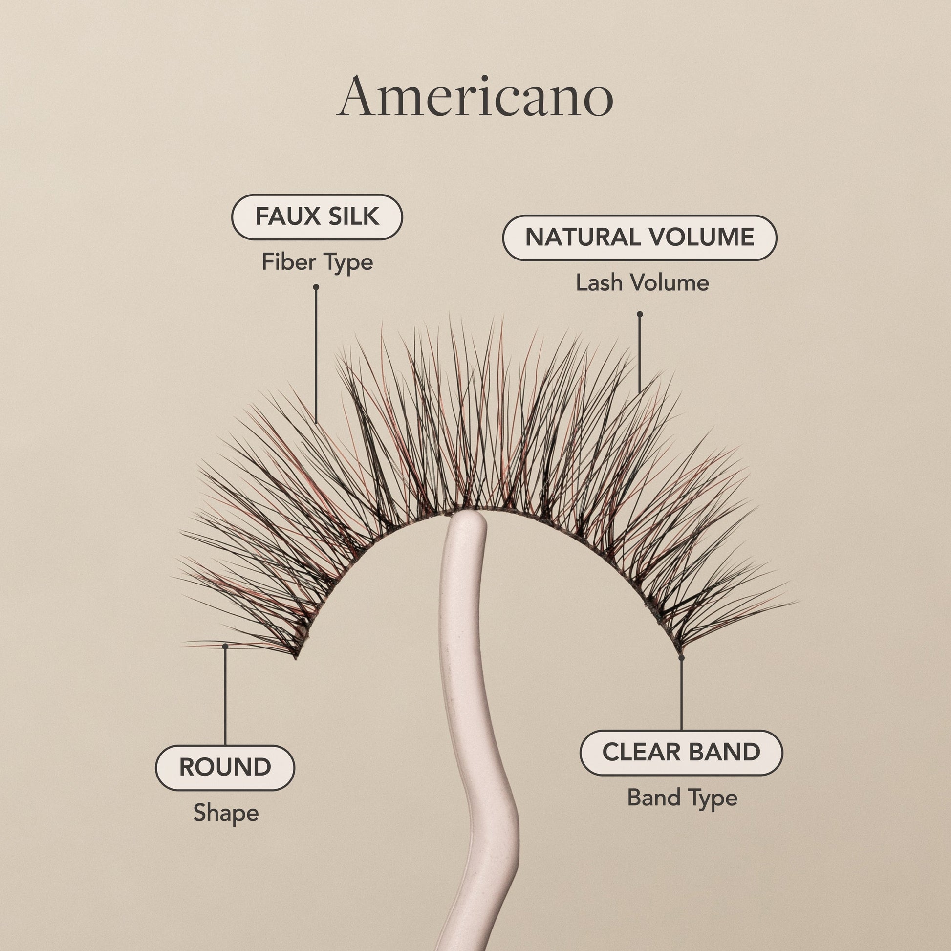 Americano - Renee Lane Company