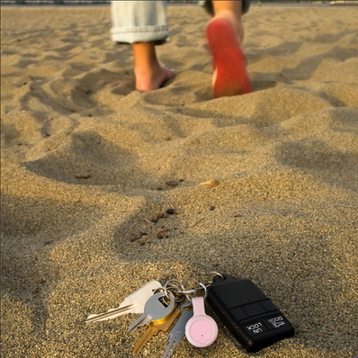 Anti Lost Device 2 Pack - Renee Lane Company
