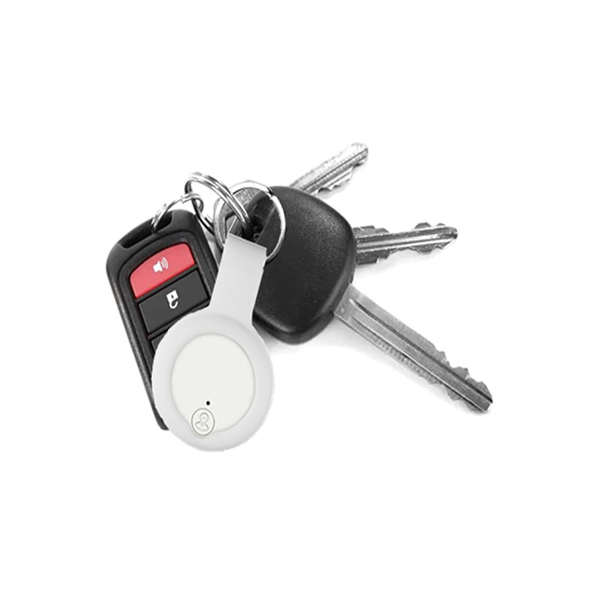 Anti Lost Device 2 Pack - Renee Lane Company
