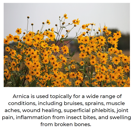 Arnica Balm -  Muscle & Joint Relief - Renee Lane Company