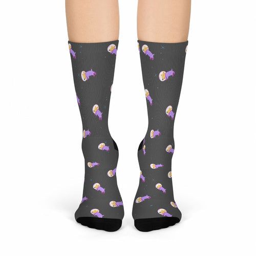 Astronaut Dog in Space Fun Socks - Renee Lane Company