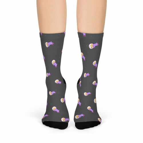 Astronaut Dog in Space Fun Socks - Renee Lane Company