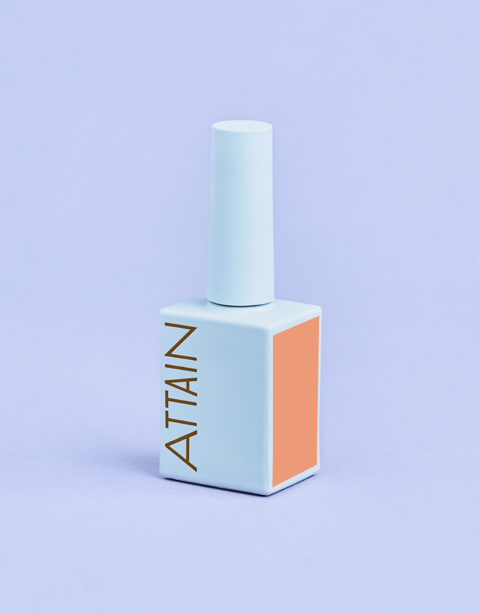 Attain Color - Peachy - Renee Lane Company