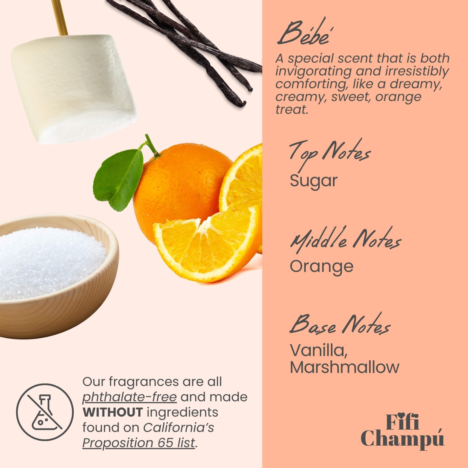 Bébé Conditioner Bar: Lightweight Moisture for Fine Hair and Sensitive Scalps - Renee Lane Company