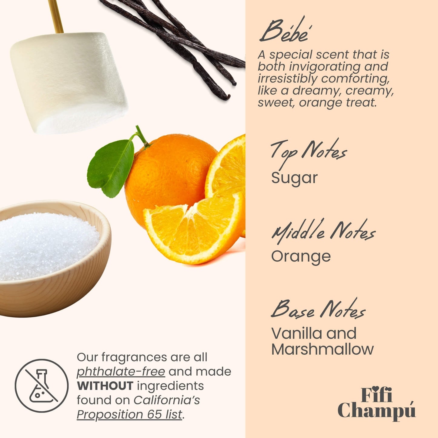 Bébé Shampoo Bar: Gentle, Protein-Rich Care for Sensitive Scalps and Fine Hair - Renee Lane Company