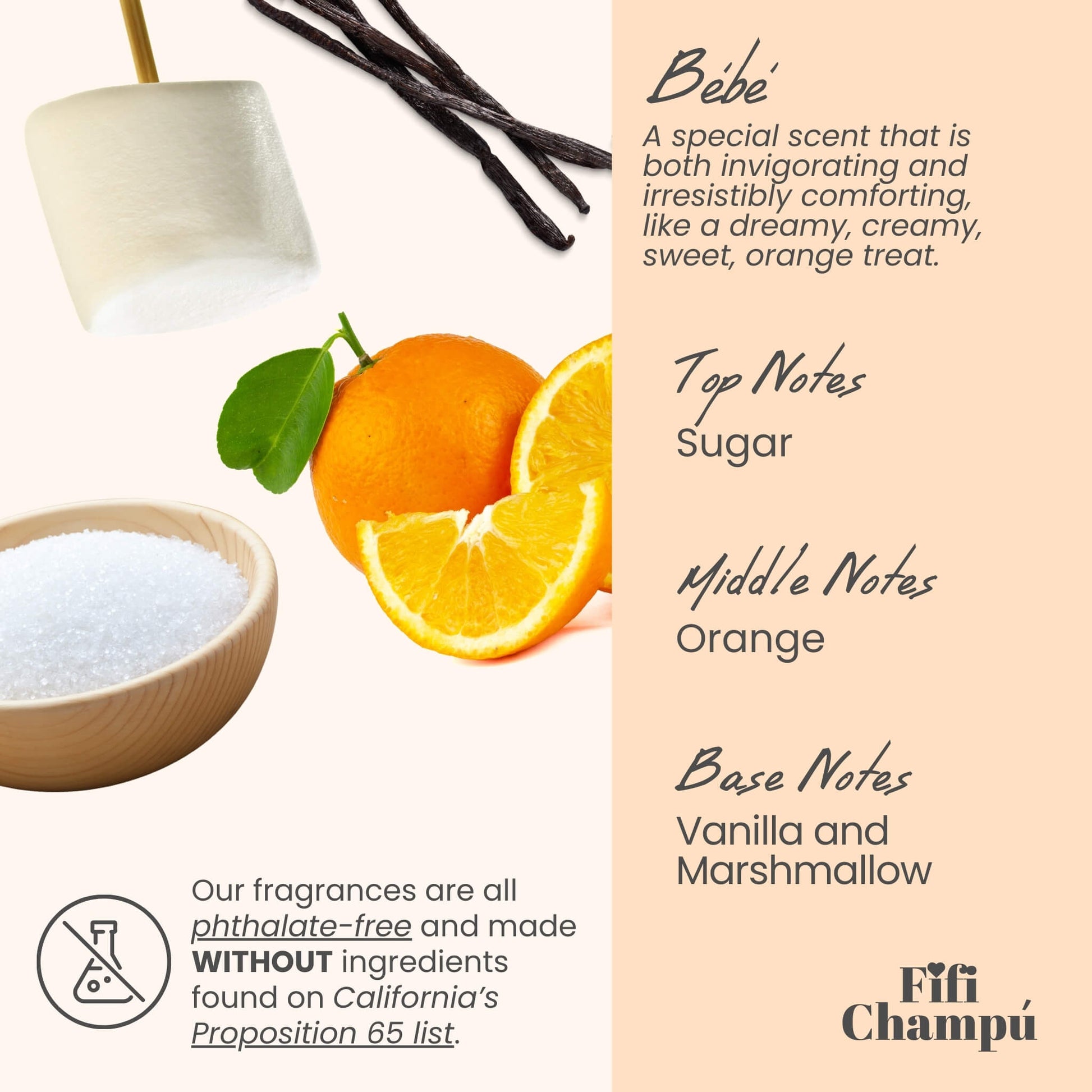 Bébé Shampoo Bar: Gentle, Protein-Rich Care for Sensitive Scalps and Fine Hair - Renee Lane Company
