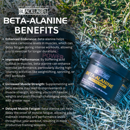 BETA-ALANINE - Renee Lane Company