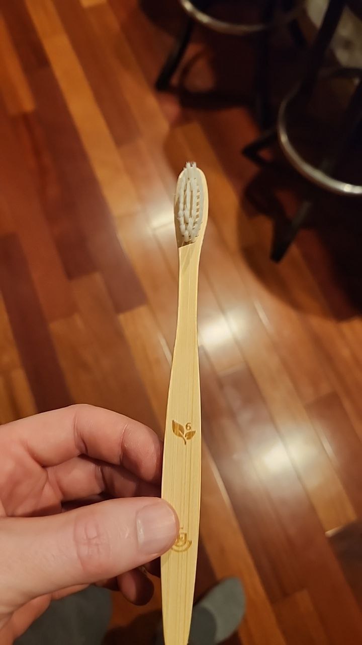 Bamboo Toothbrush w/ Case - Renee Lane Company