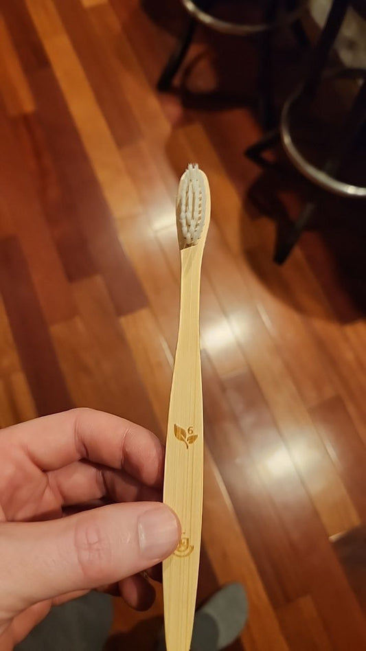 Bamboo Toothbrush w/ Case - Renee Lane Company