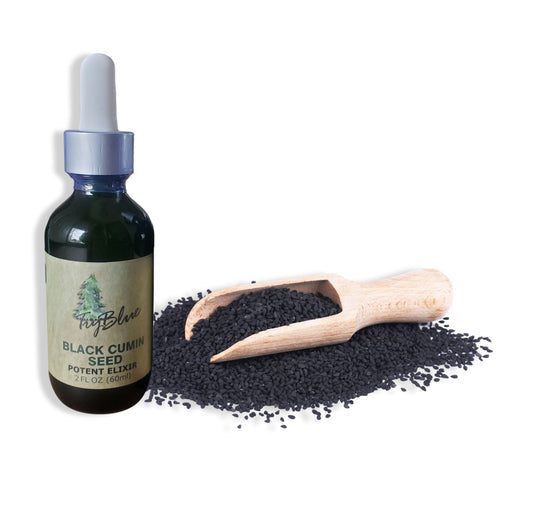 Black Cumin Seed Elixir - Renee Lane Company