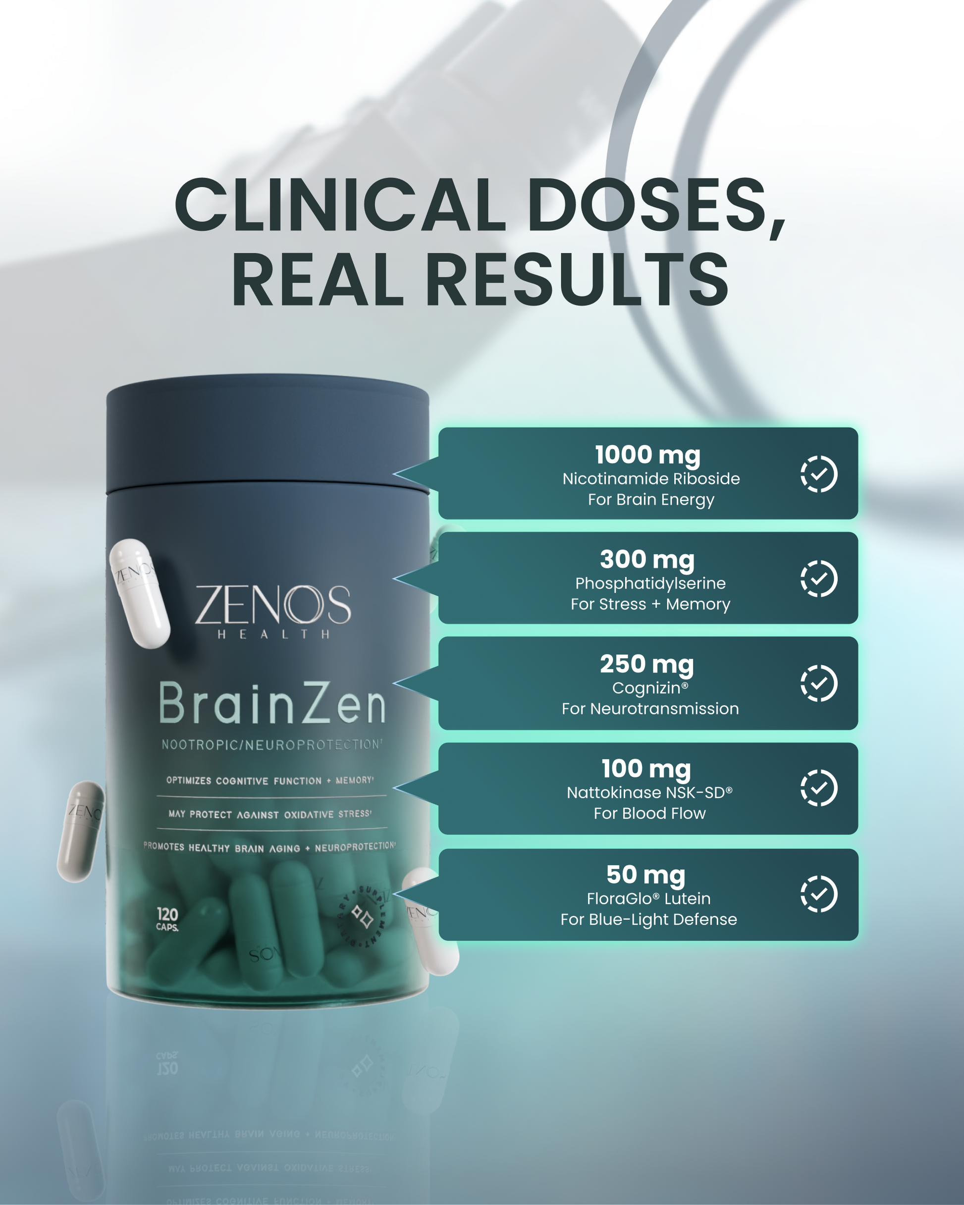 BrainZen - Renee Lane Company