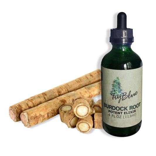 Burdock Root Elixir - Renee Lane Company
