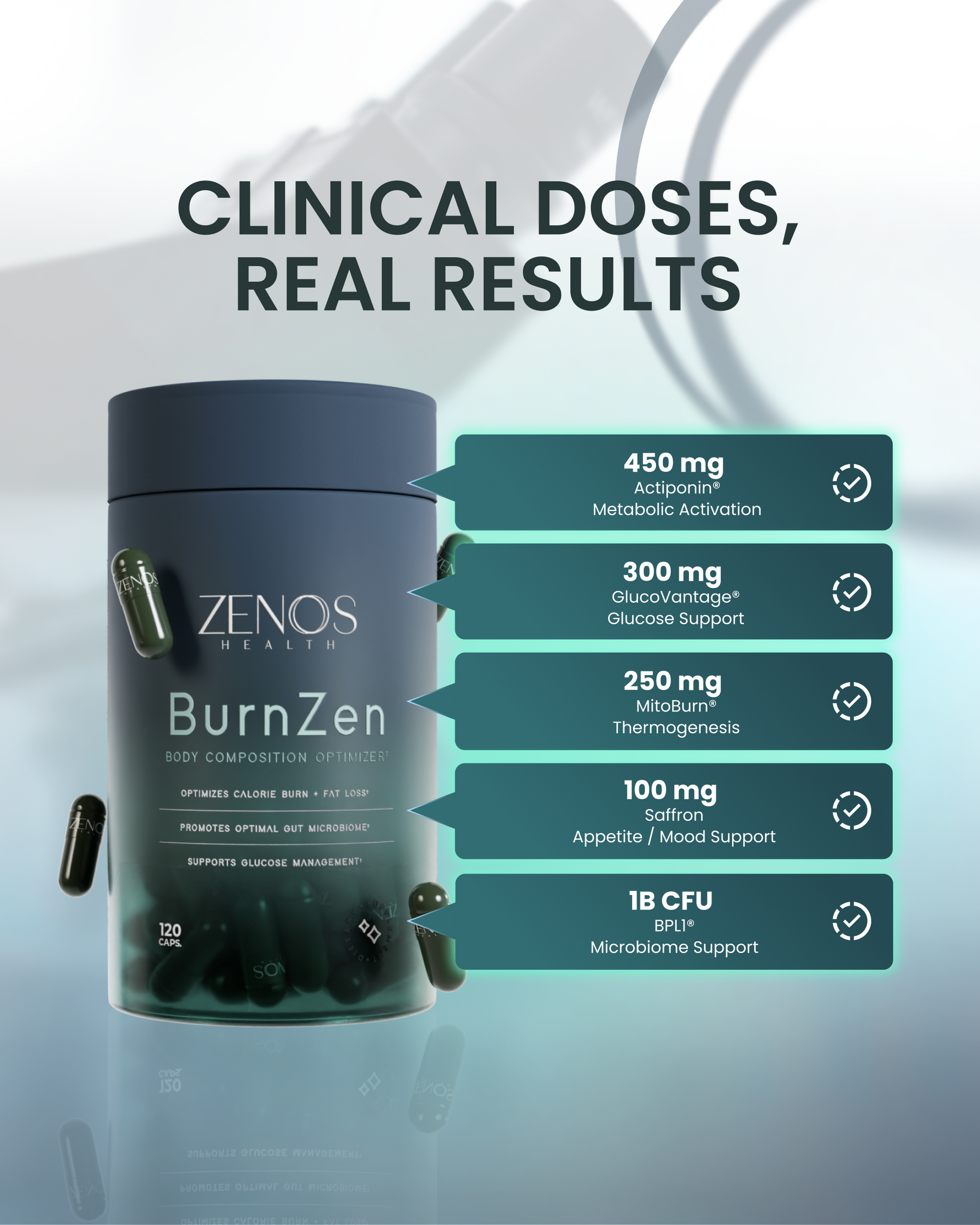 BurnZen - Renee Lane Company