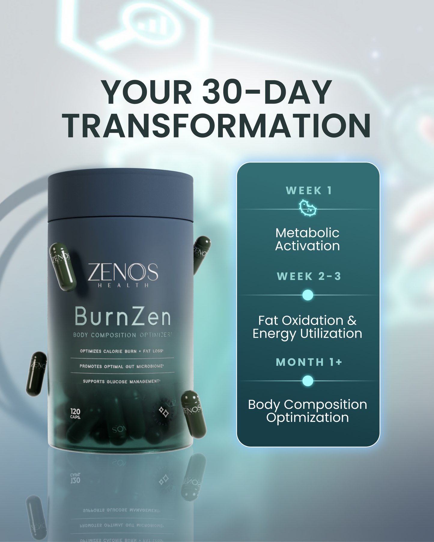 BurnZen - Renee Lane Company