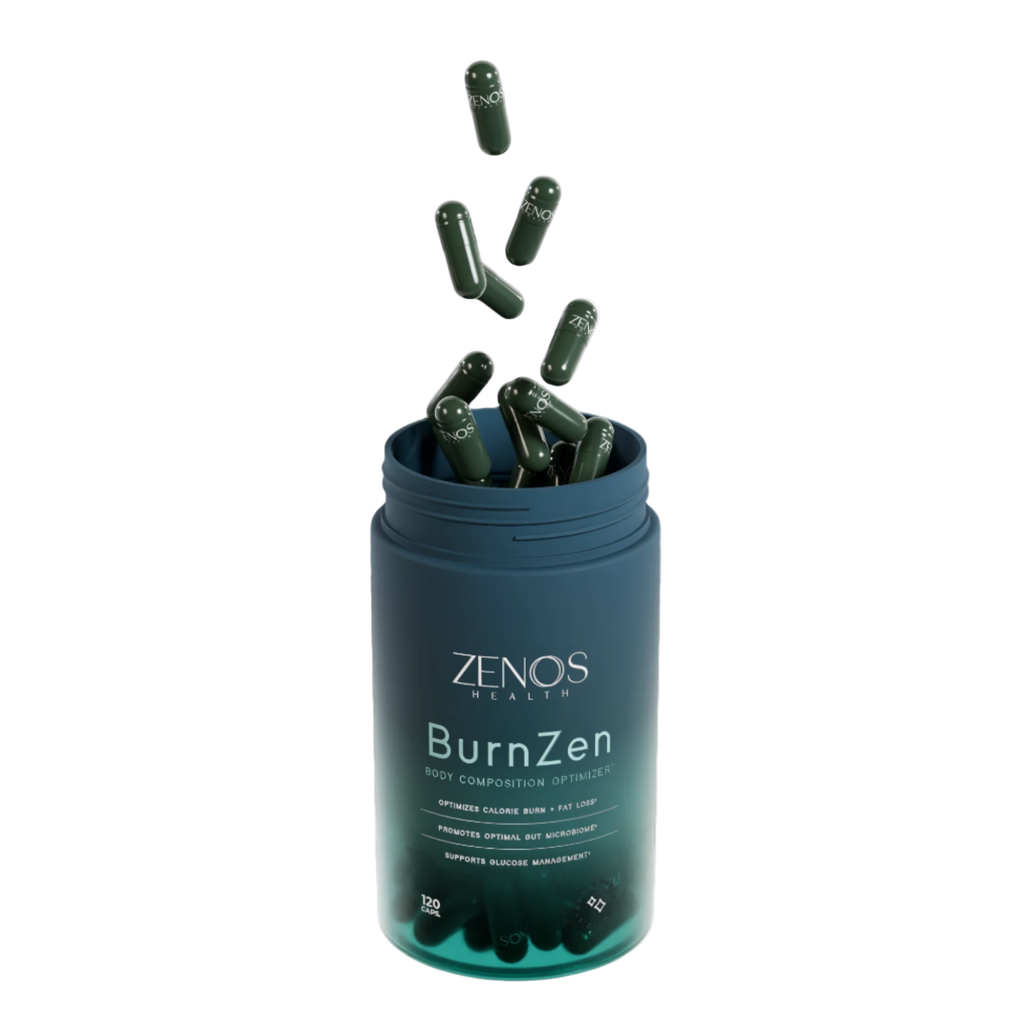BurnZen - Renee Lane Company