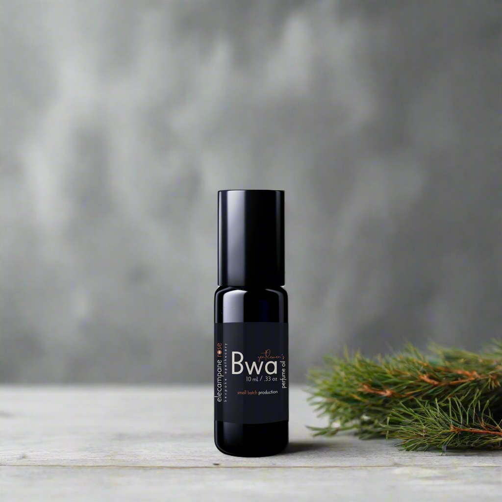 Bwa | Perfume Oil for Men - Renee Lane Company