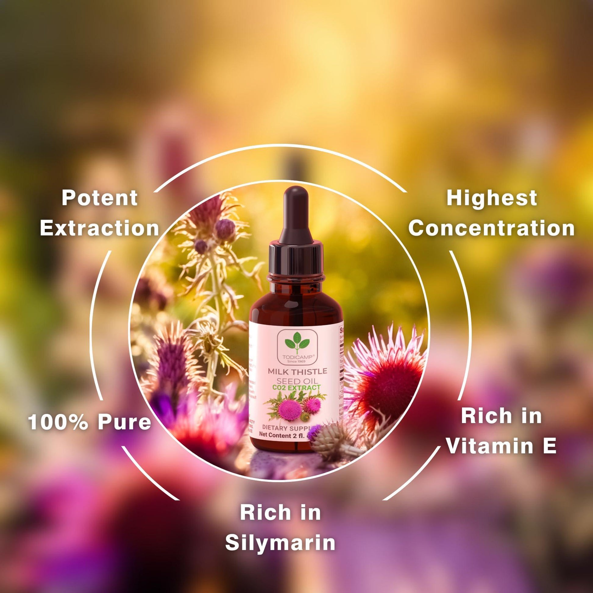 CO2 Extracted Milk Thistle Seed Oil 100% Potent Liver Support Milk Thistle Oil Rich in Silymarin Zinc Omegas Tocopherols Pure Milk Thistle Drops 2 Fl Oz - Renee Lane Company