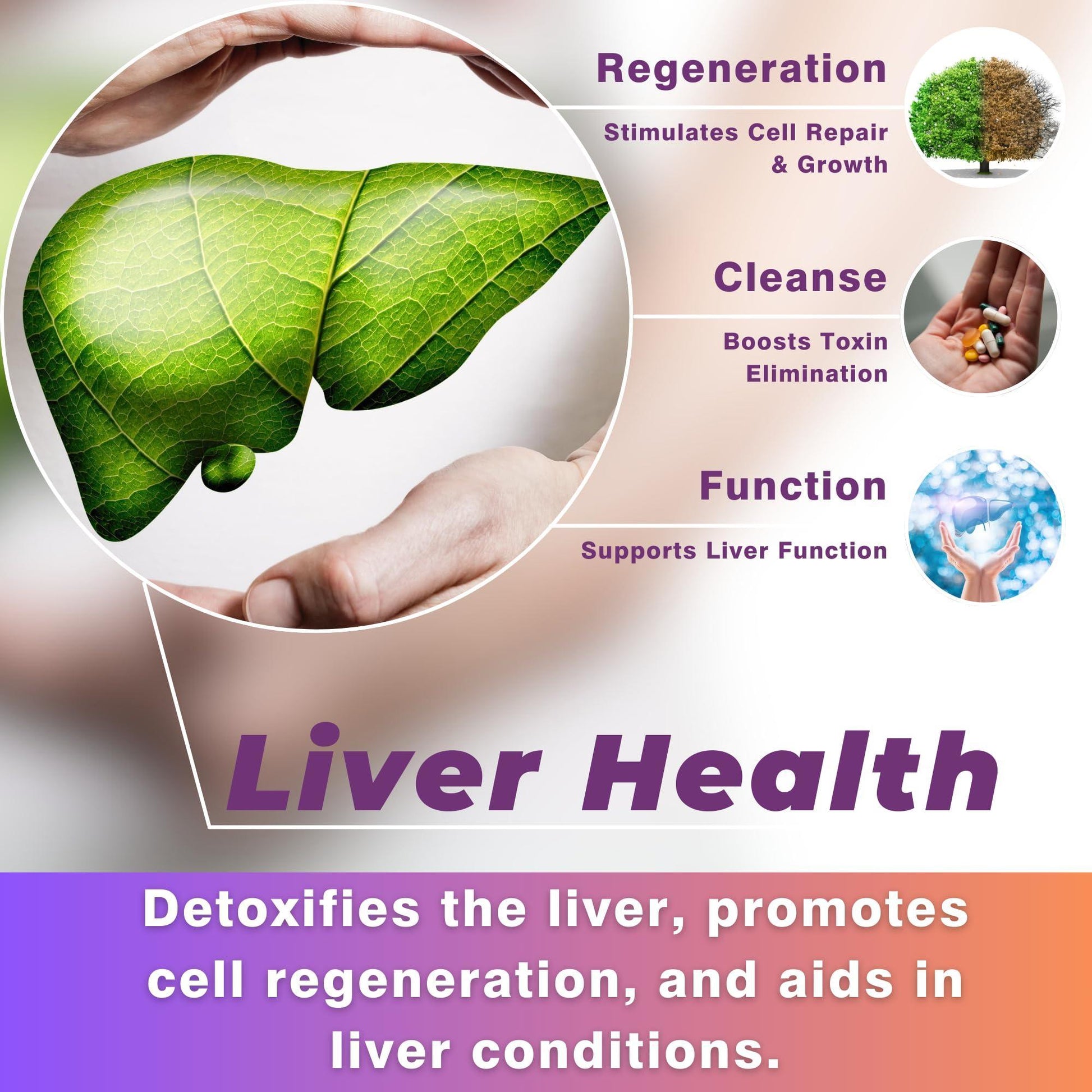 CO2 Extracted Milk Thistle Seed Oil 100% Potent Liver Support Milk Thistle Oil Rich in Silymarin Zinc Omegas Tocopherols Pure Milk Thistle Drops 2 Fl Oz - Renee Lane Company