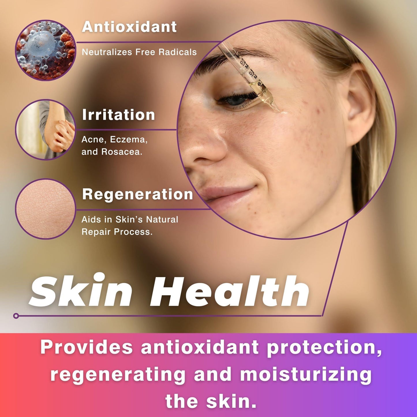 CO2 Extracted Milk Thistle Seed Oil 100% Potent Liver Support Milk Thistle Oil Rich in Silymarin Zinc Omegas Tocopherols Pure Milk Thistle Drops 2 Fl Oz - Renee Lane Company
