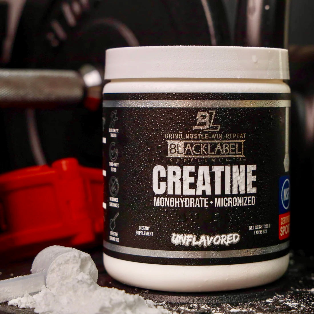 CREATINE MONOHYDRATE - Renee Lane Company