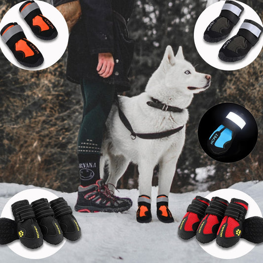 Waterproof reflective dog boots on a dog, black with orange accents and reflective straps
