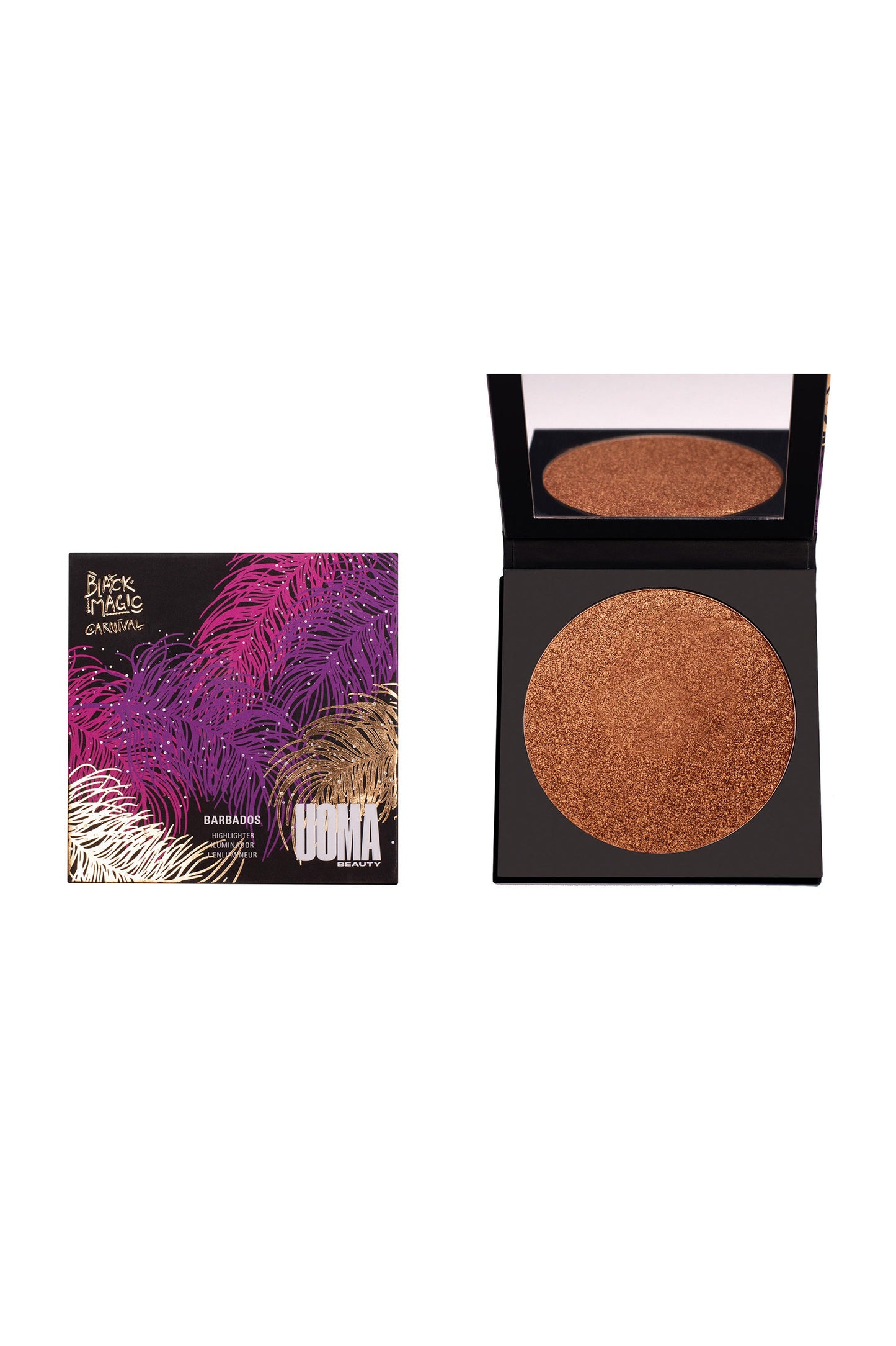 Carnival Bronzing Highlighter - Renee Lane Company