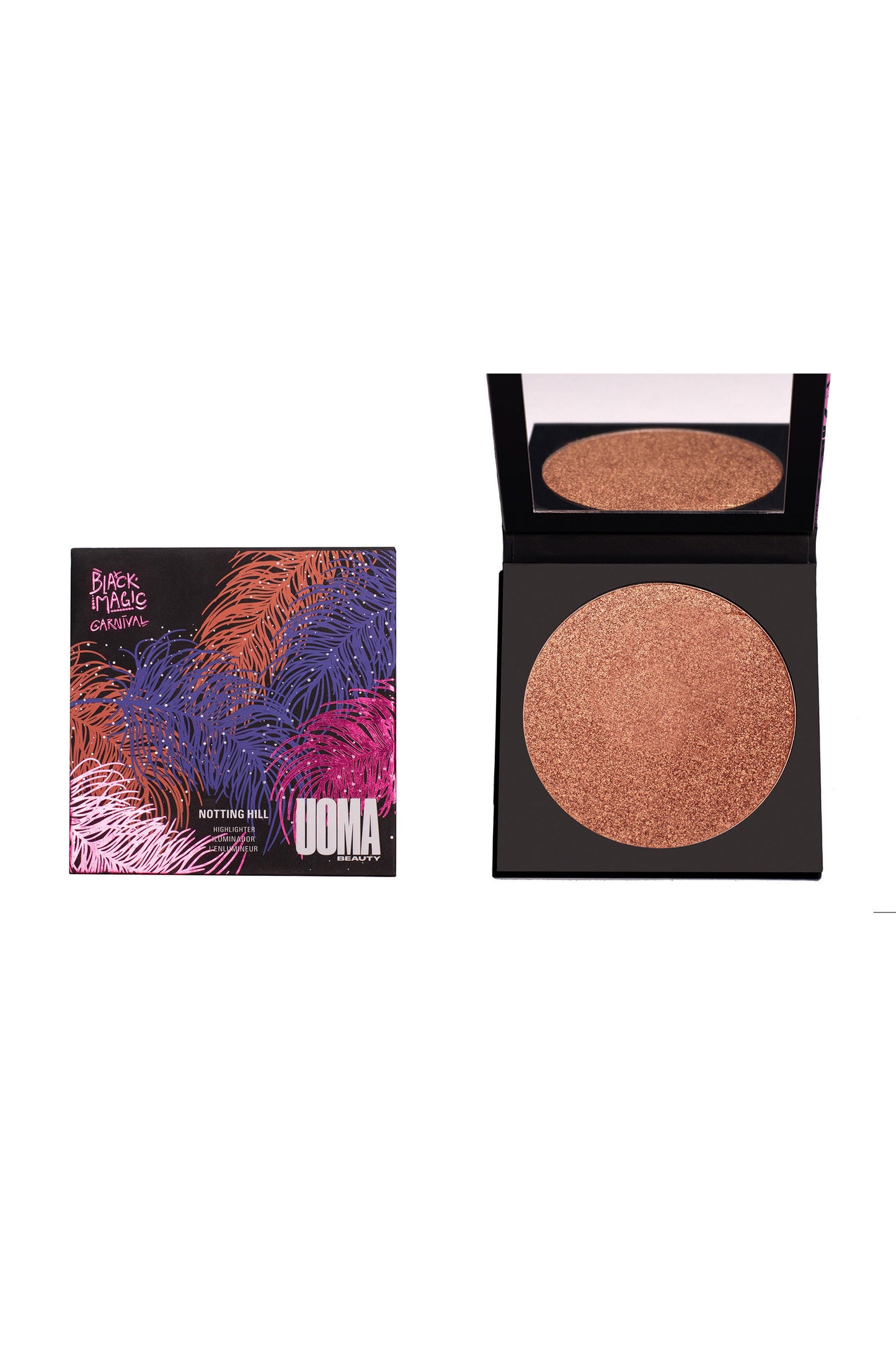 Carnival Bronzing Highlighter - Renee Lane Company