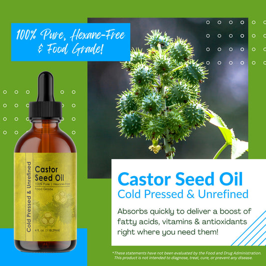 Castor Seed Oil - Cold Pressed & Hexane Free! - Renee Lane Company