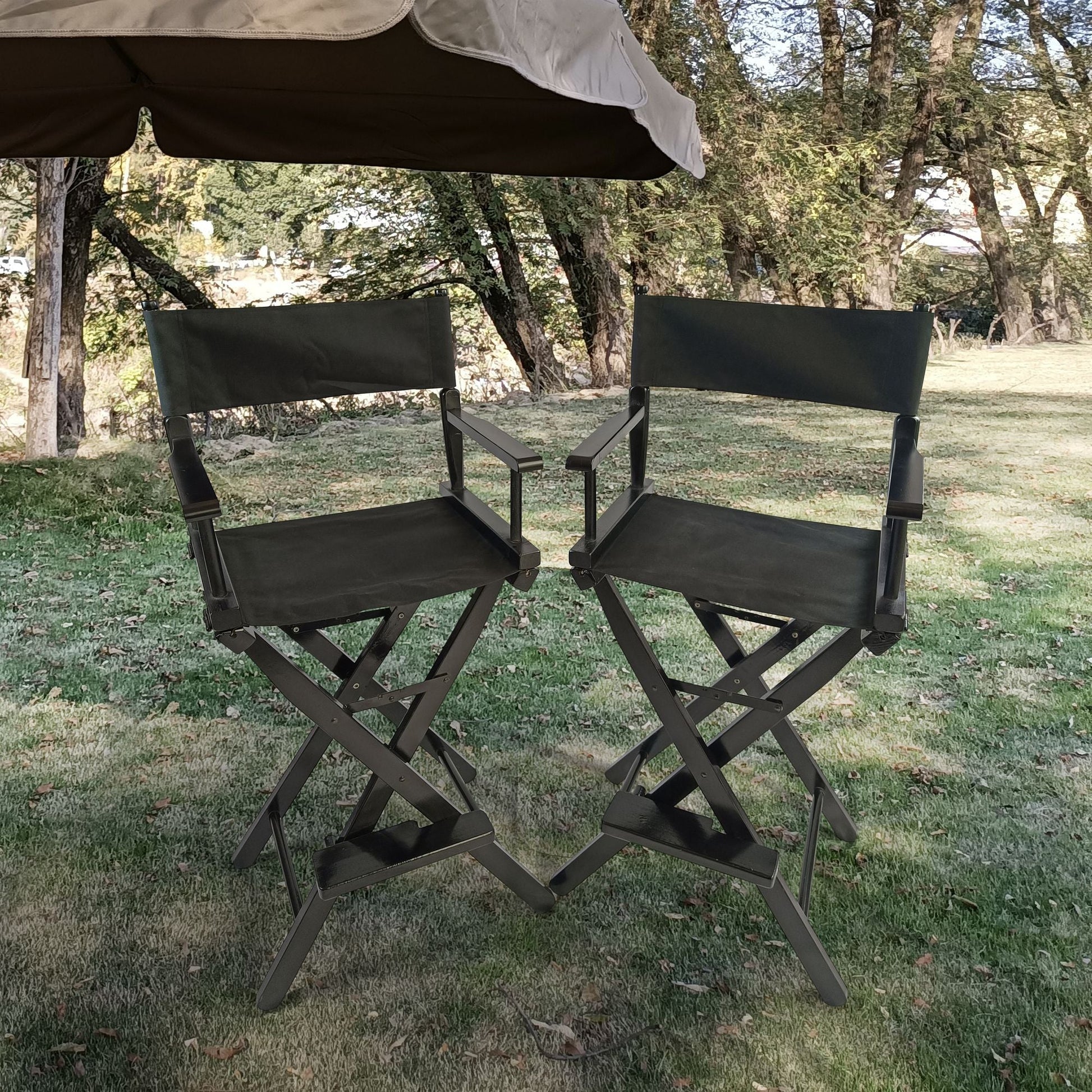 Casual Home Director's Chair ;  Black Frame/Black Canvas ;  Suitable for adults;  foldable style;   2pcs/set populus - Renee Lane Company