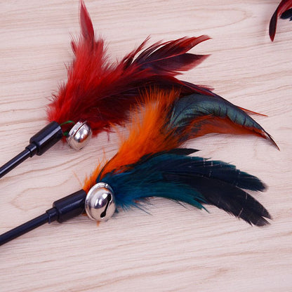 Cat Wand Stick Toy Color Vary Feather with Bell Teaser and Exerciser for Cat and Kitten - Renee Lane Company