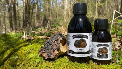 Chaga Mushroom Dual Extract - Renee Lane Company