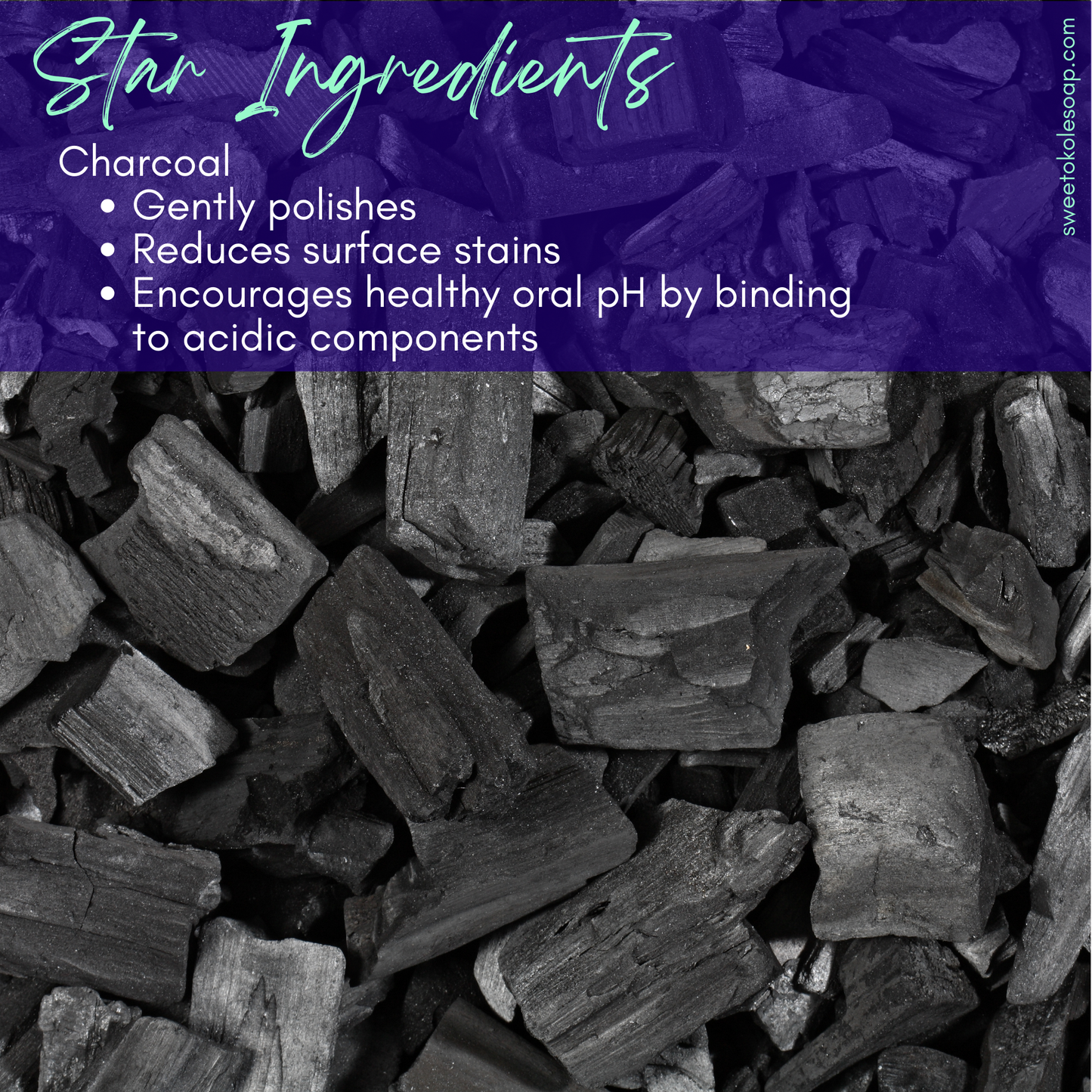 Charcoal Tooth Powder, Unflavored with 5% Hydroxyapatite - Renee Lane Company
