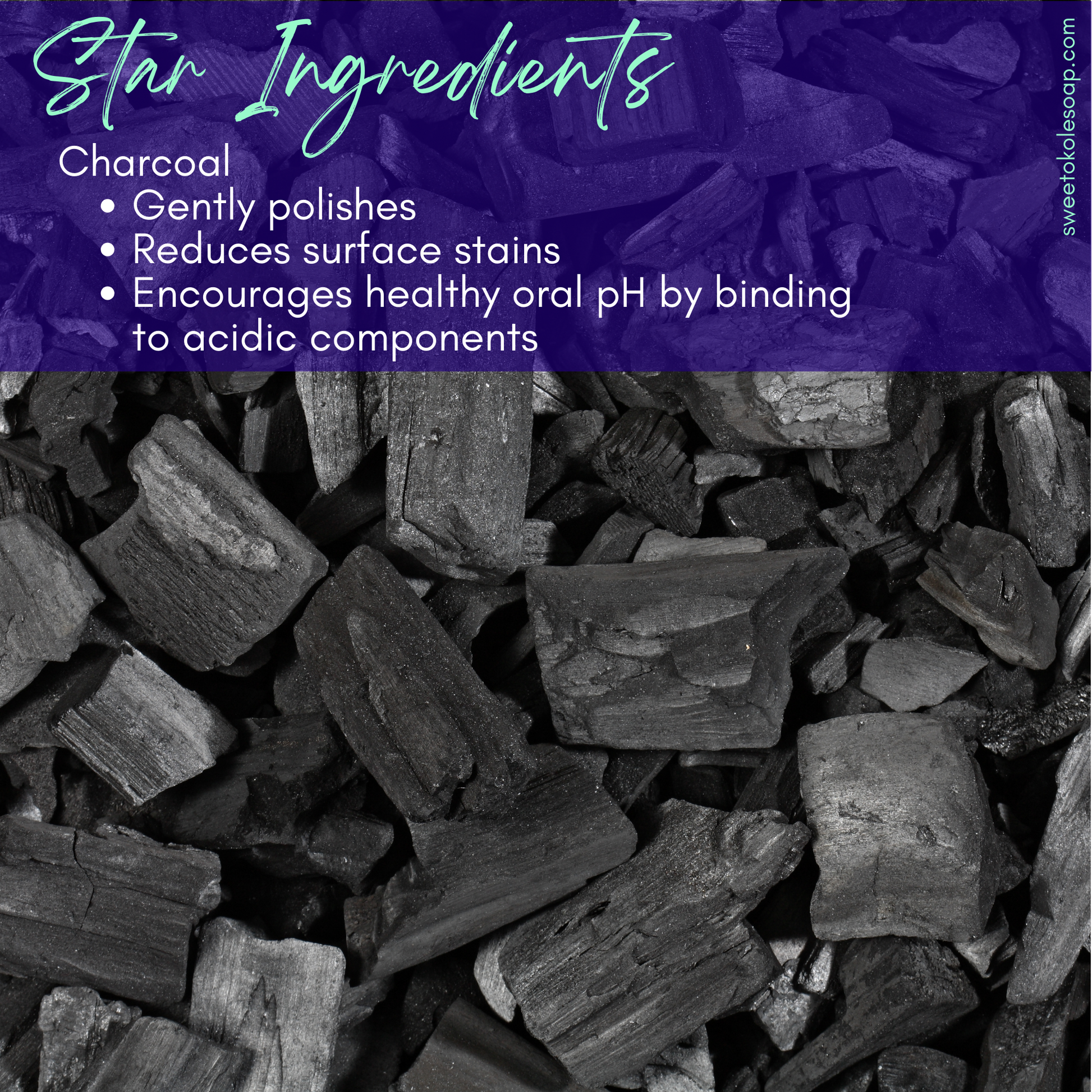 Charcoal Tooth Powder, Unflavored with 5% Hydroxyapatite - Renee Lane Company