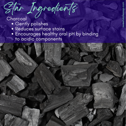 Charcoal Tooth Powder, Unflavored with 5% Hydroxyapatite - Renee Lane Company