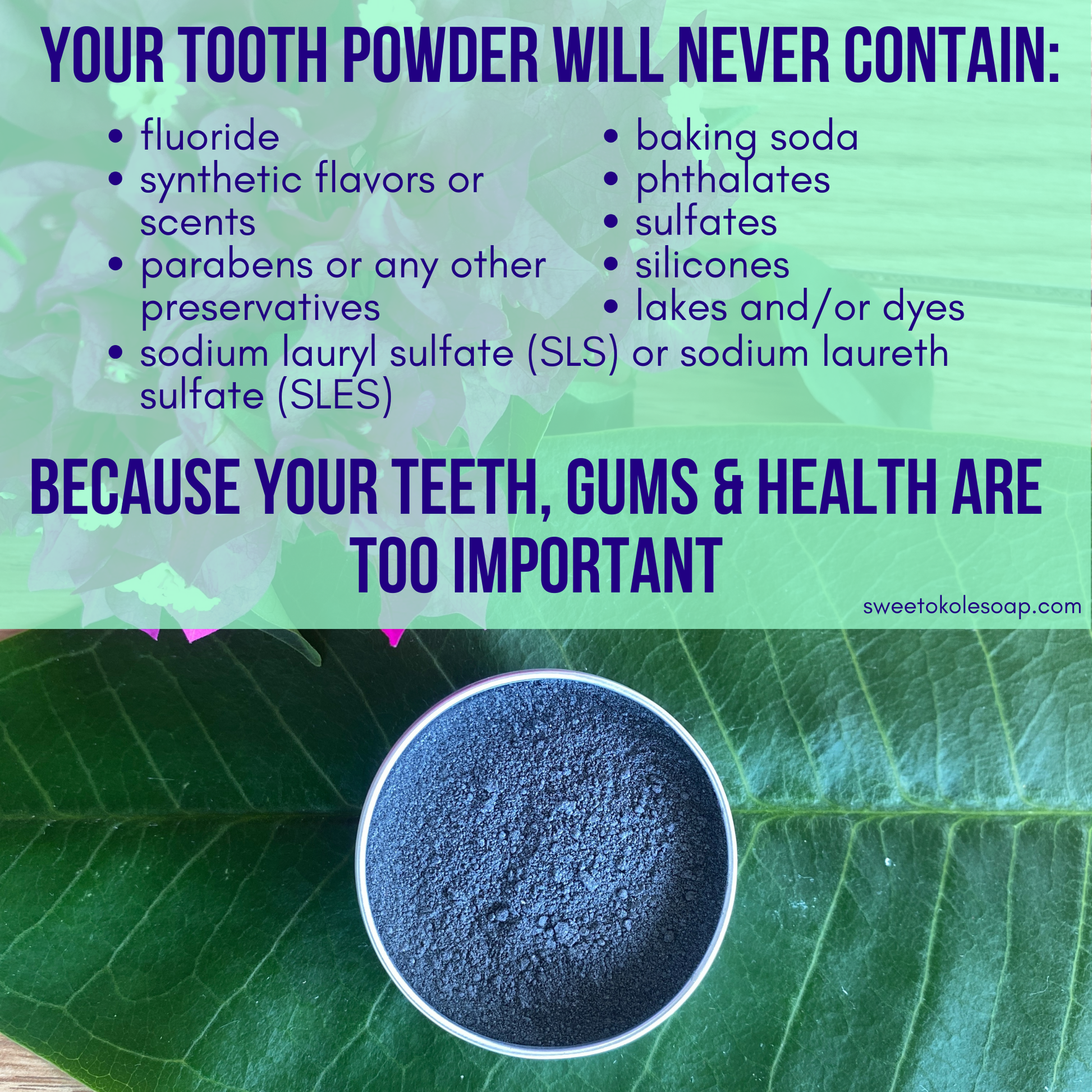 Charcoal Tooth Powder, Unflavored with 5% Hydroxyapatite - Renee Lane Company