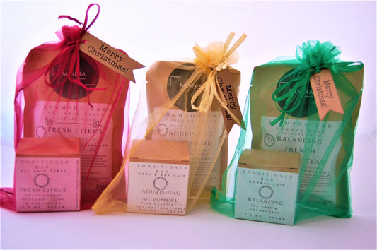 Christmas Gift Set Hair Care - Renee Lane Company