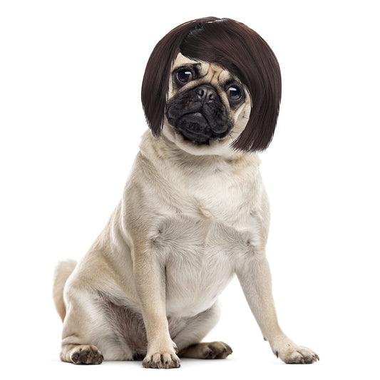 Cobee Funny Dog Cat Cosplay Wig Pet Wig-Adjustable Costume Pet Funny Headwear Costumes Headgear for Small Medium Large Dog Cat Wigs Dress Up Decorations for Halloween Christmas Parties Festivals - Renee Lane Company