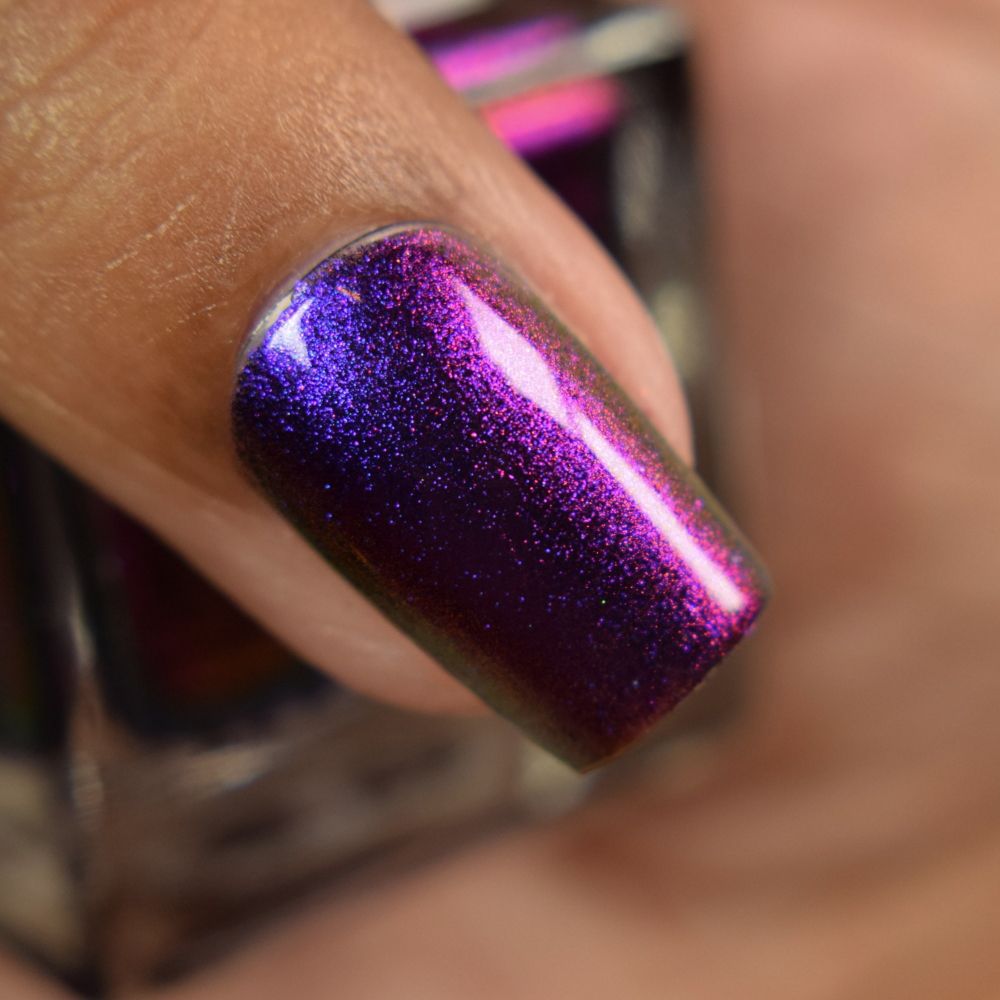 Colors (Take Me Away) - Renee Lane Company