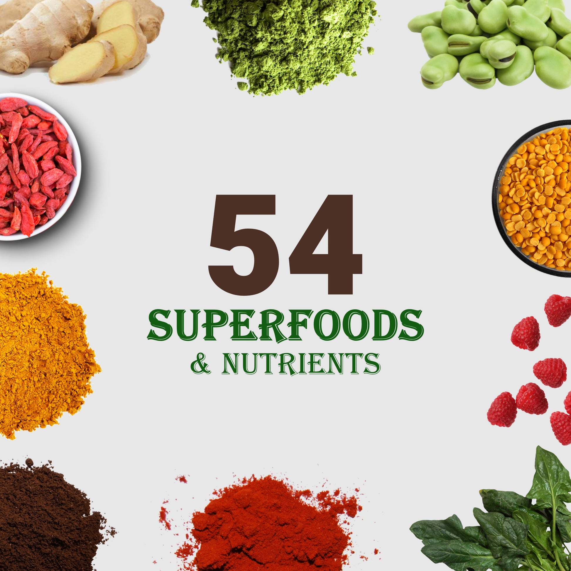 Complete Meal Protocol - Renee Lane Company