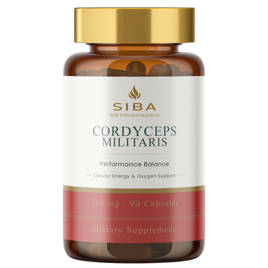 Cordyceps Militaris Mushroom Capsules - Renee Lane Company
