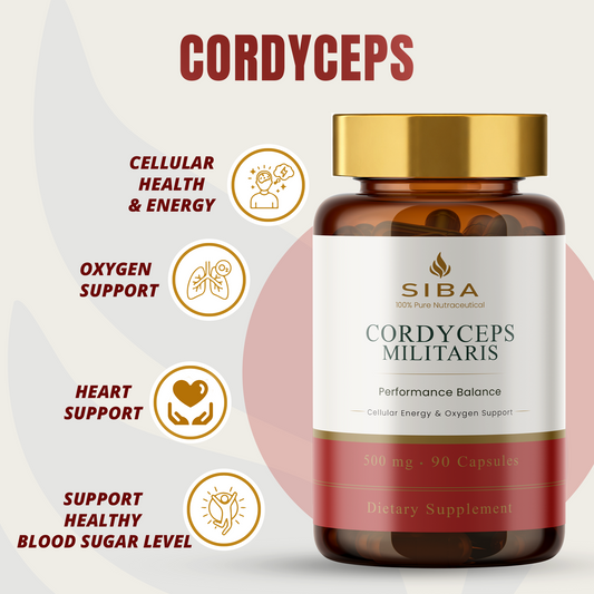 Cordyceps Militaris Mushroom Capsules - Renee Lane Company